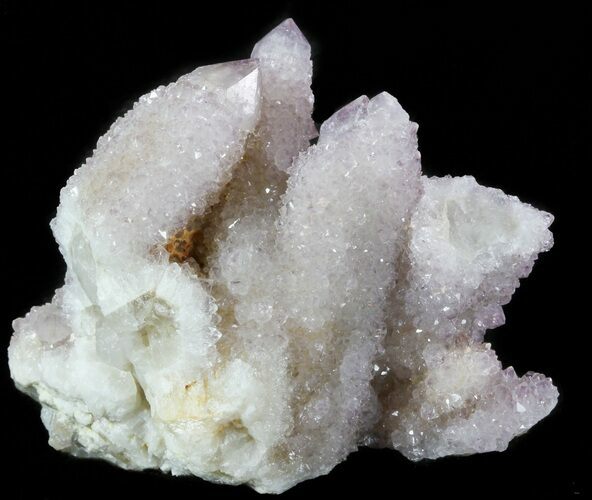 Cactus Quartz (Amethyst) Crystals - South Africa #47183